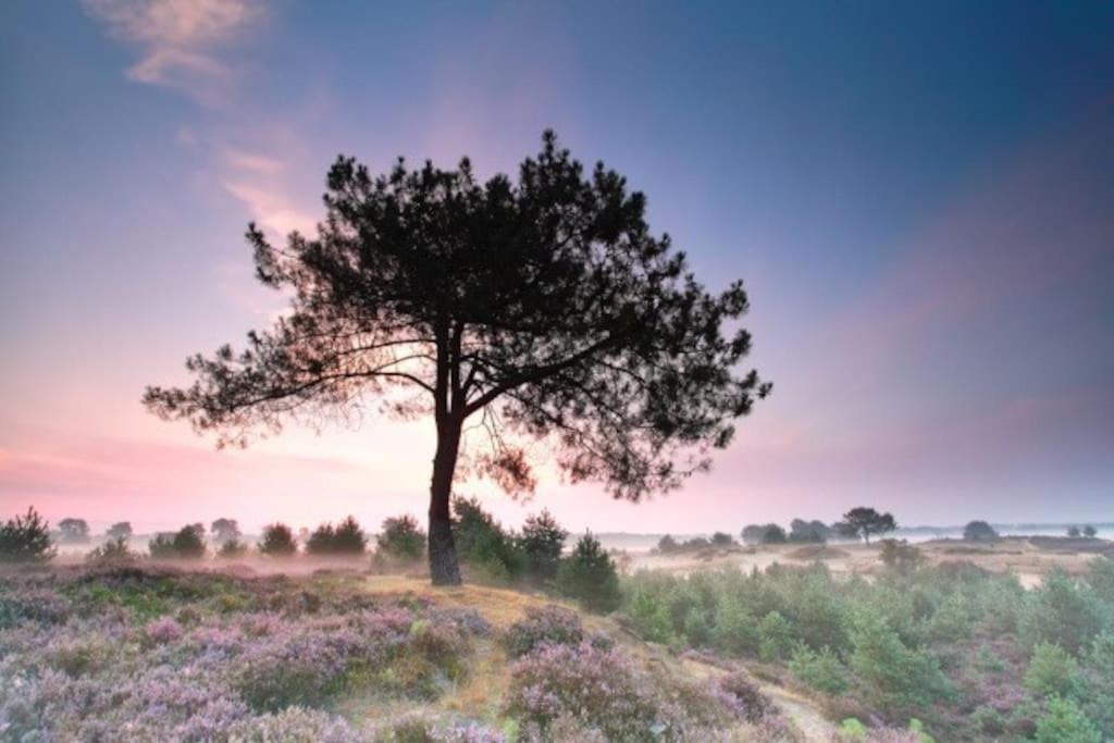 Vakantiehuis Drents-Friese Wold Bojil Екстериор снимка
